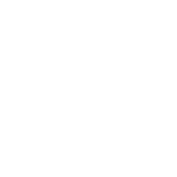 Angular logo