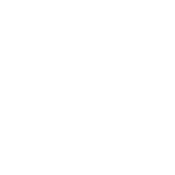 Ollama logo