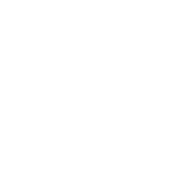 Veeam logo